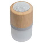 Speaker Bluetooth Haarlem(1)
